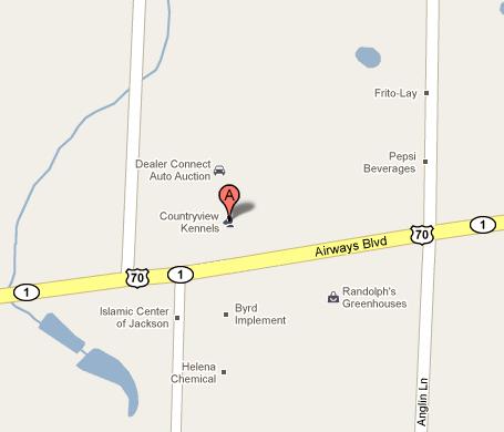 LocalMap